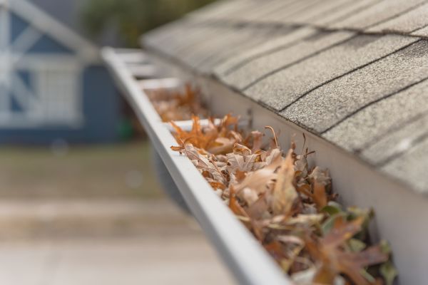 Leaf Barrier Installation in Waxhaw