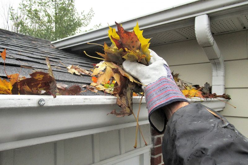 Gutter Cover in Action